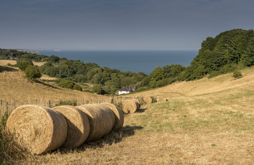 Farming field 