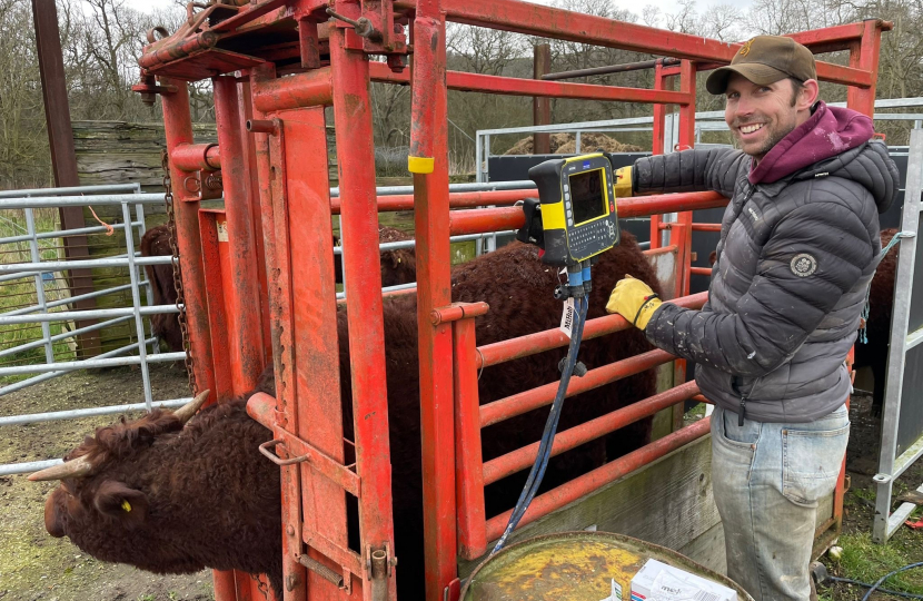 Roger with cow