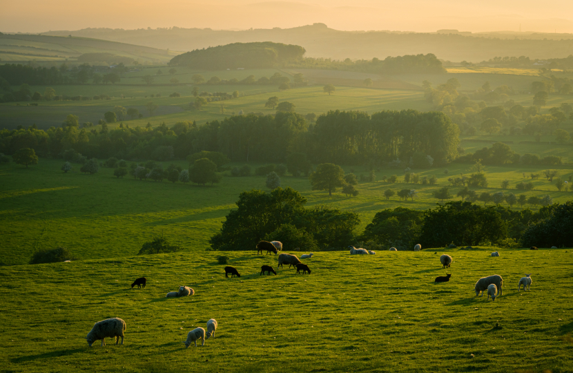 Yorkshire fields