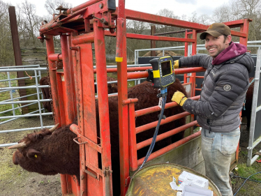 Roger with cow